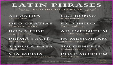 A Profile Of A Latin Beauty