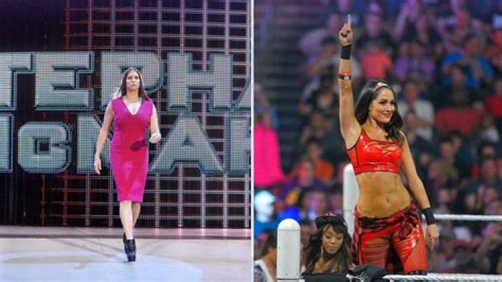Brie Bella vs Stephanie McMahon SummerSlam 2014 – Two Potential Swerves!