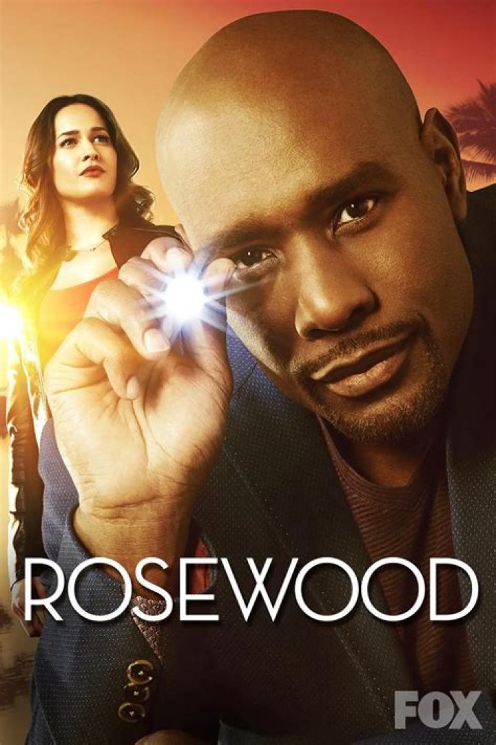 Rosewood Recap 3/16/16: Season 1 episode 13 “Ballistics & BFFs”